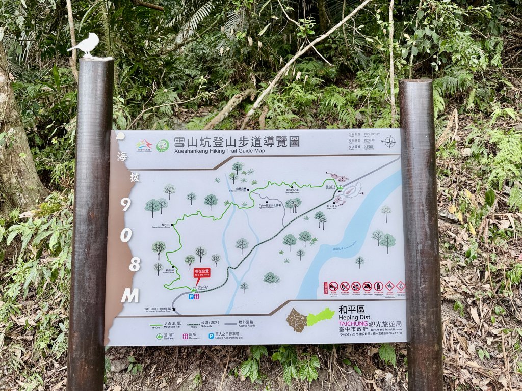 雪山坑步道悠遊順訪雪山坑山(再訪)  2025.12.3_2953726