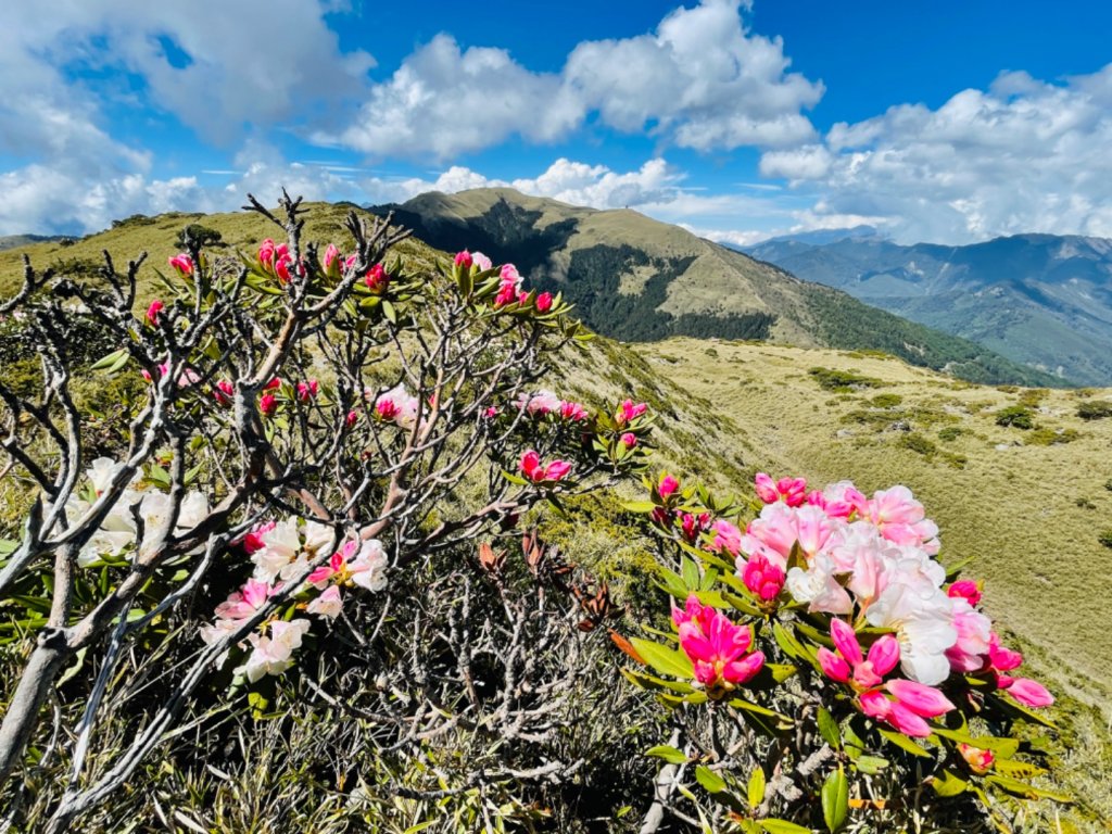 1110422南哈哈山-哈哈山-石門山北峰_1684419