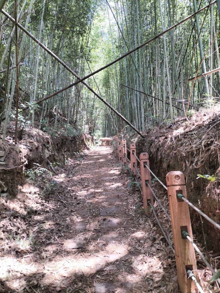 秀巒軍艦岩步道_2258944
