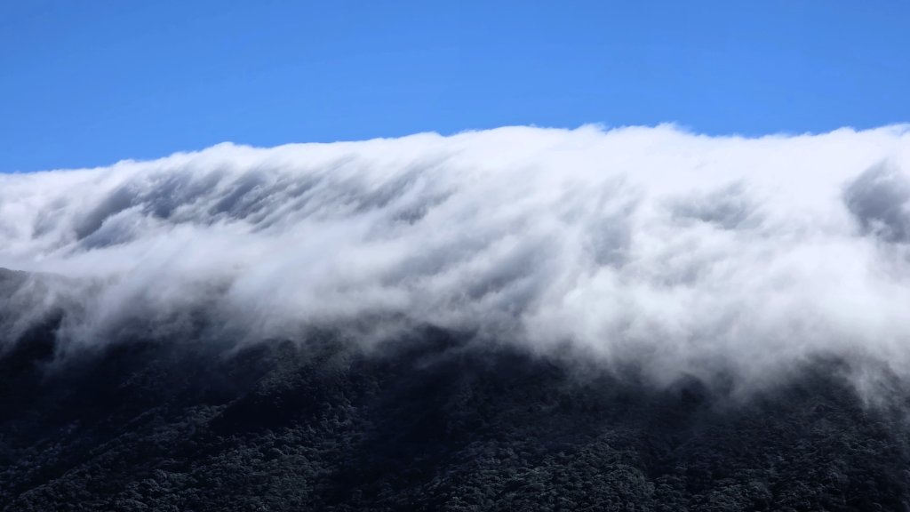 東北季風起遊走雲瀑和山毛櫸間的啦卡山與北插天山登山行_2951080