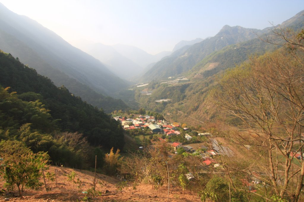 東埔-八通關古道-塔塔加_1431597