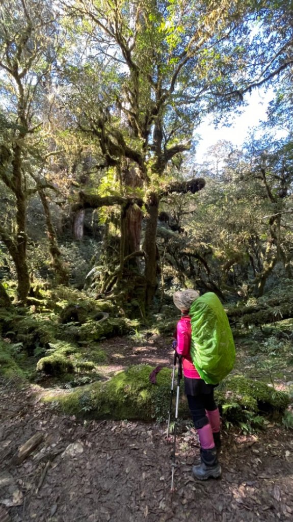 塔魔巴2天1夜來回_2357218