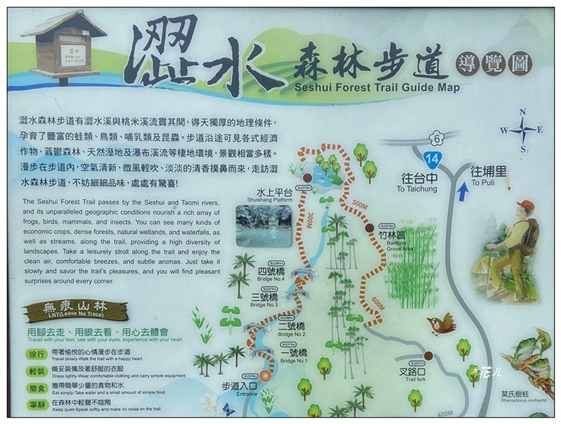 澀水森林步道、水上瀑布_2846762