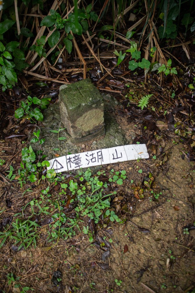 臺北大縱走第七段：名門社區公車站至飛龍步道_1343849