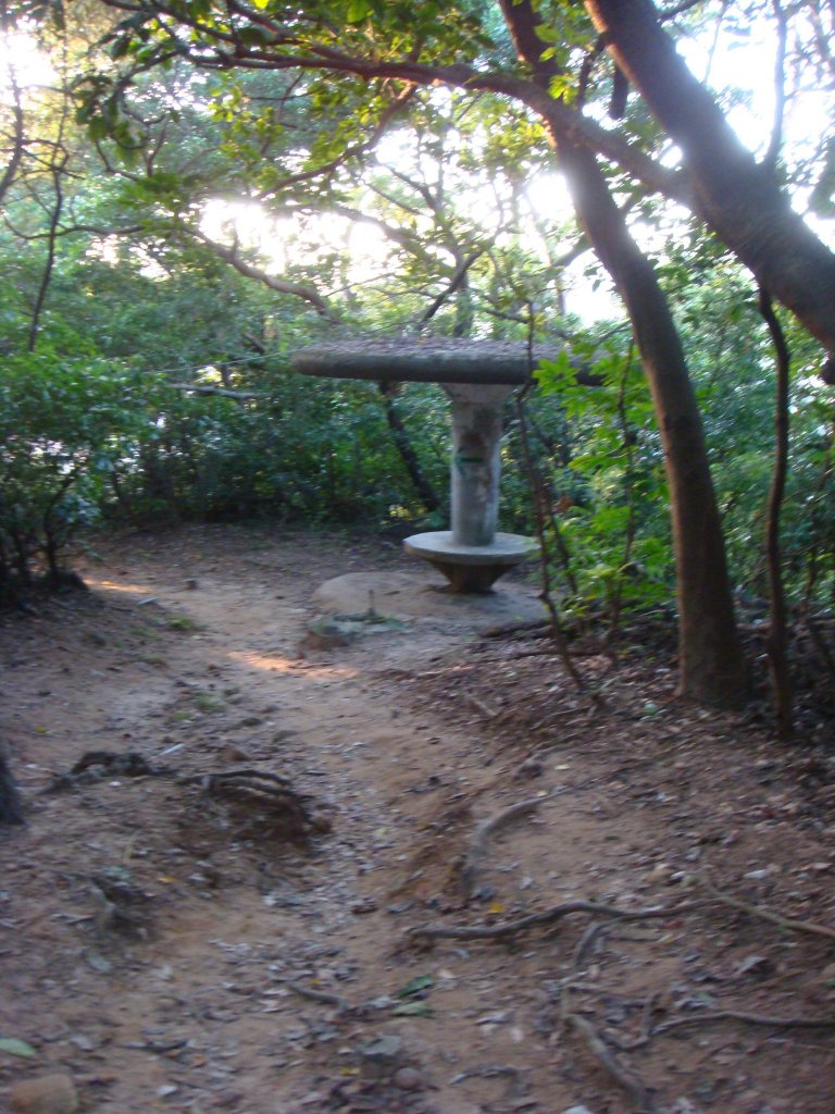 軍艦岩、丹鳳山親山步道_1809311