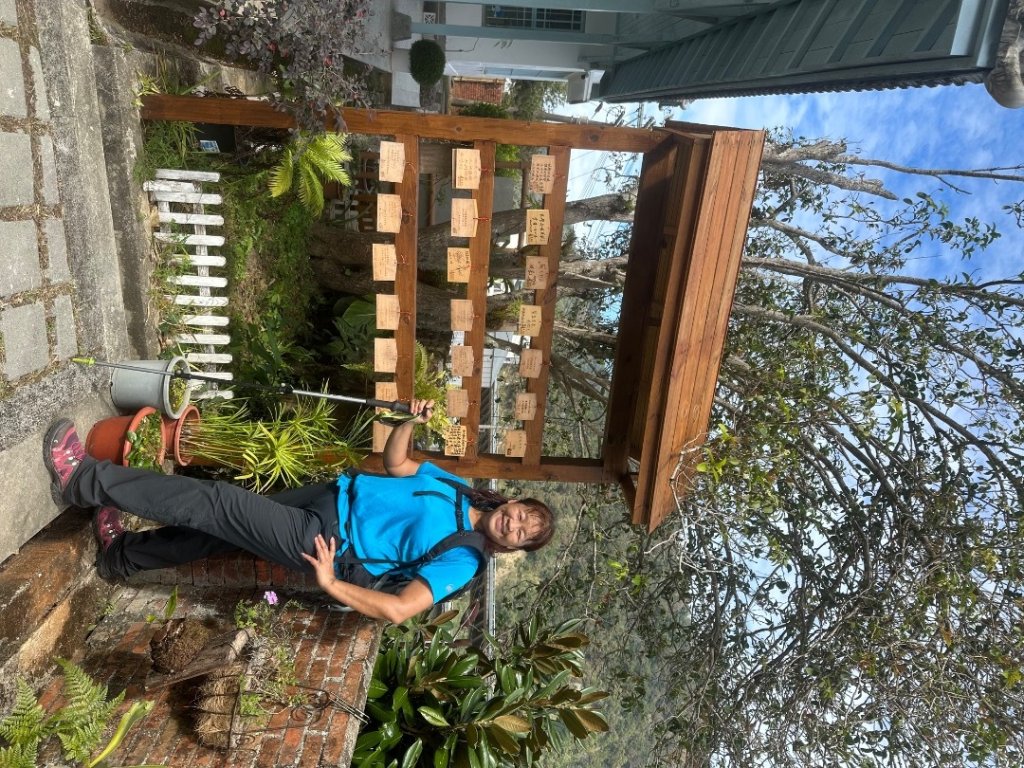 苗栗出磺坑古道、銅纙坑菊_2951537