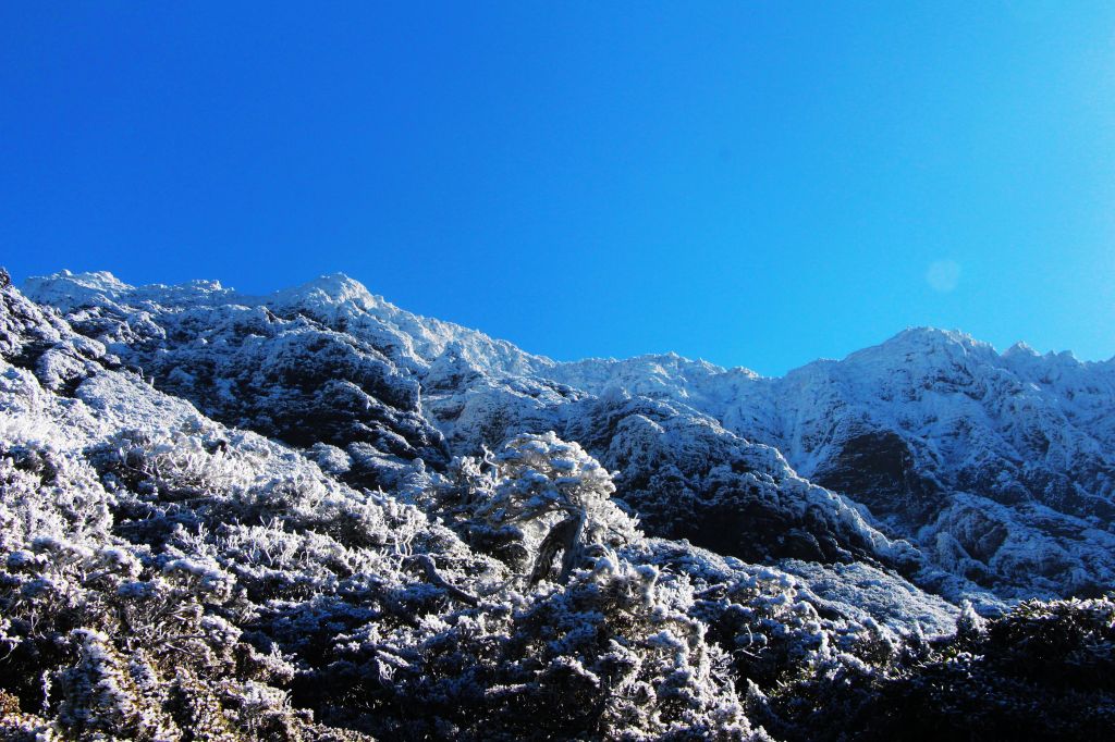 玉山  風雪後 , 另一番美景 !_224488