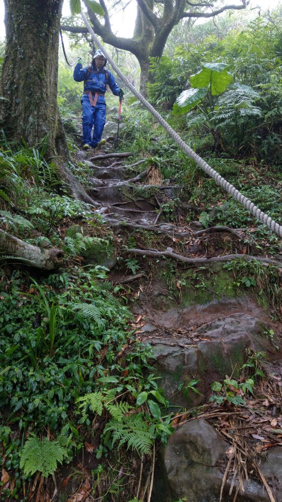 陽明山東西大縱走活動_403371