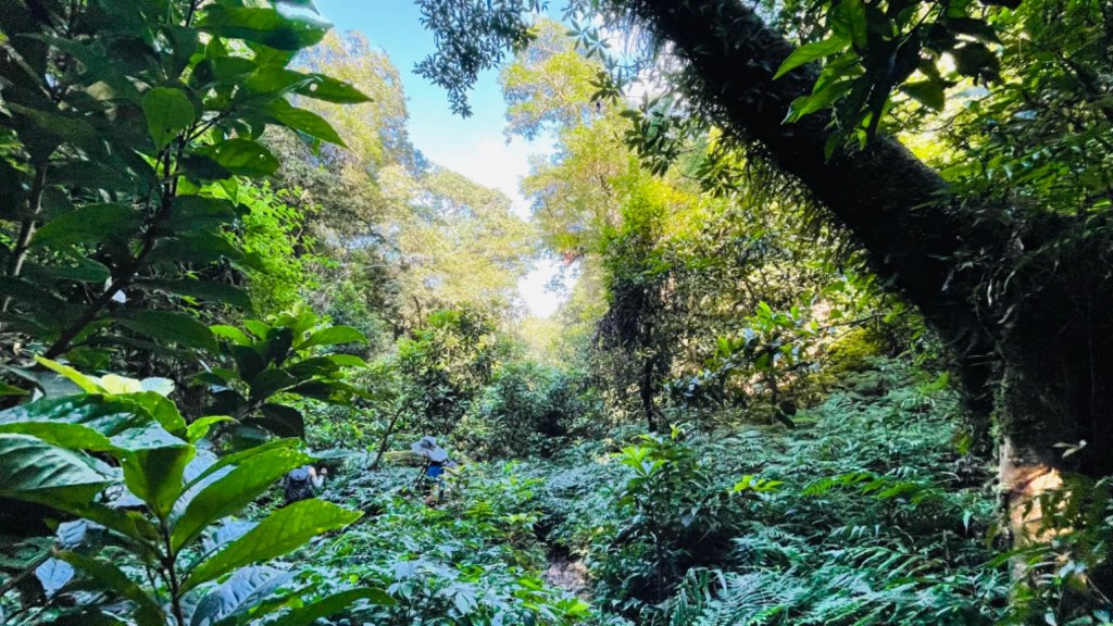 1101010拔刀爾山.美鹿山_1485177