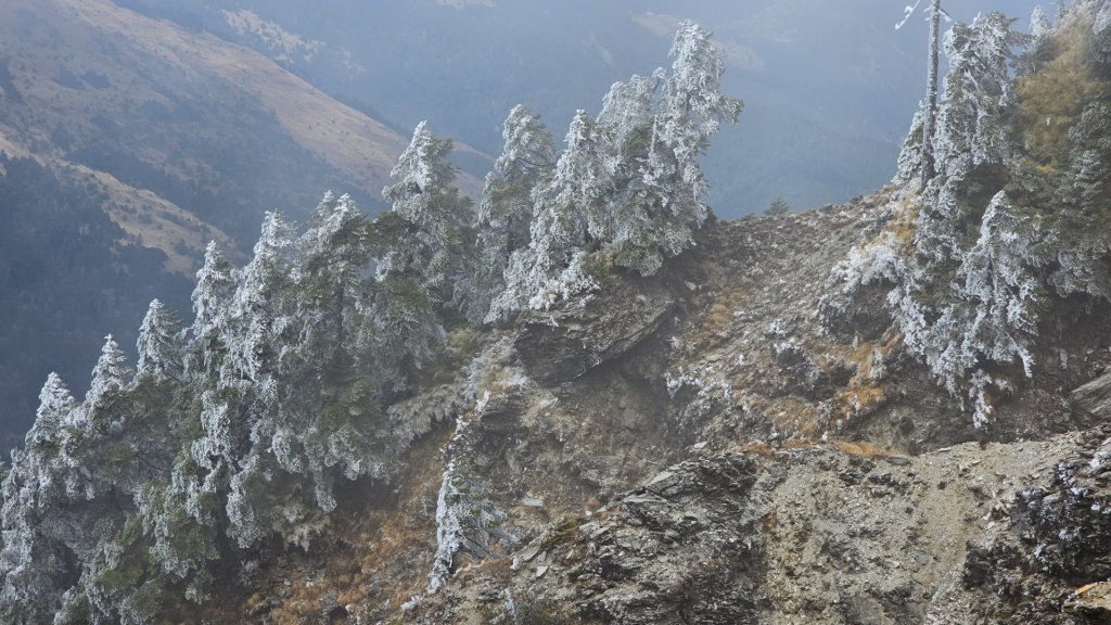 112.3.13～3.14 冰封奇萊主北_2074409