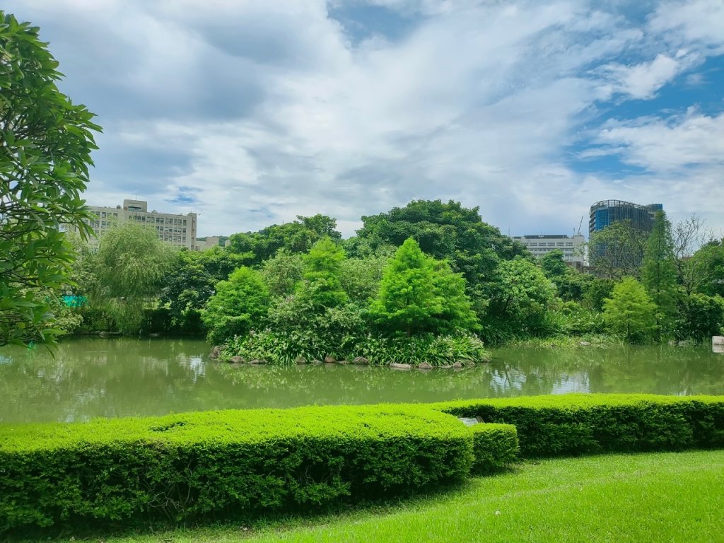 ［健康大穀東，台北趴趴走］（17~18）：台大椰林大道，台大舟山路（2023/7/29）_2239783