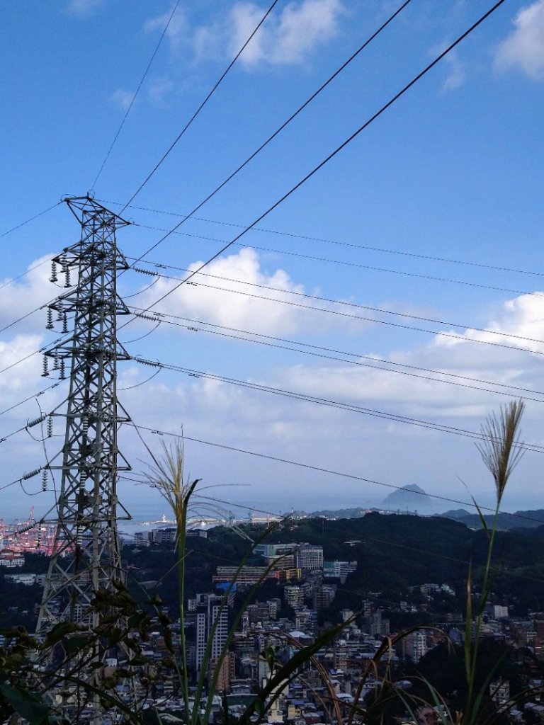 紅淡山（小百岳）O走_1173642