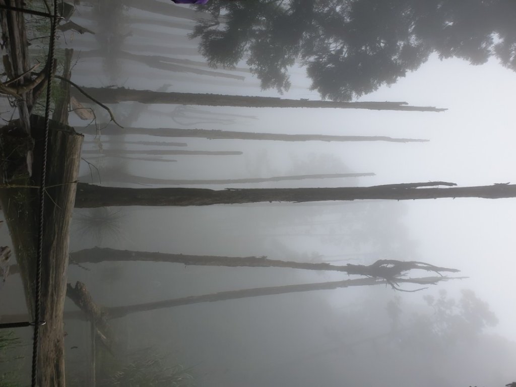 嶺頭山-金柑樹山-忘憂森林，O型縱走_1000792