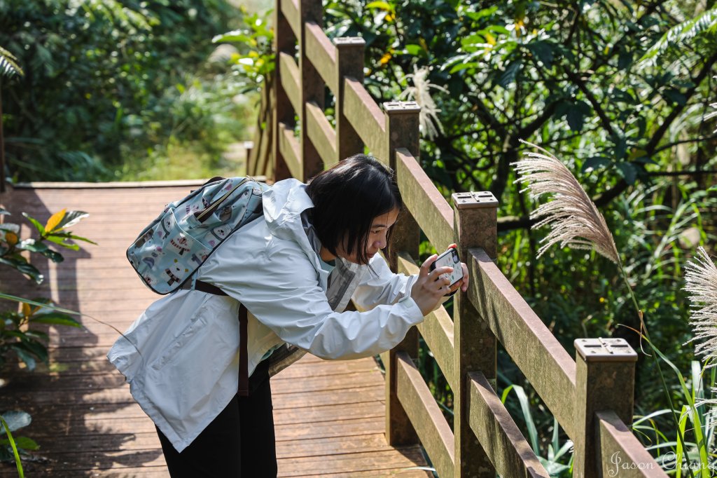 [新北]貂山古道_1539058