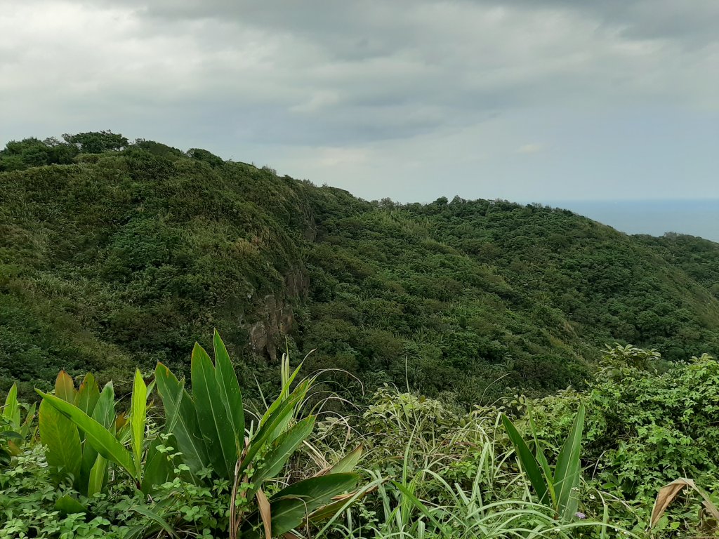 不高，但，超難找二座小百岳_1143484