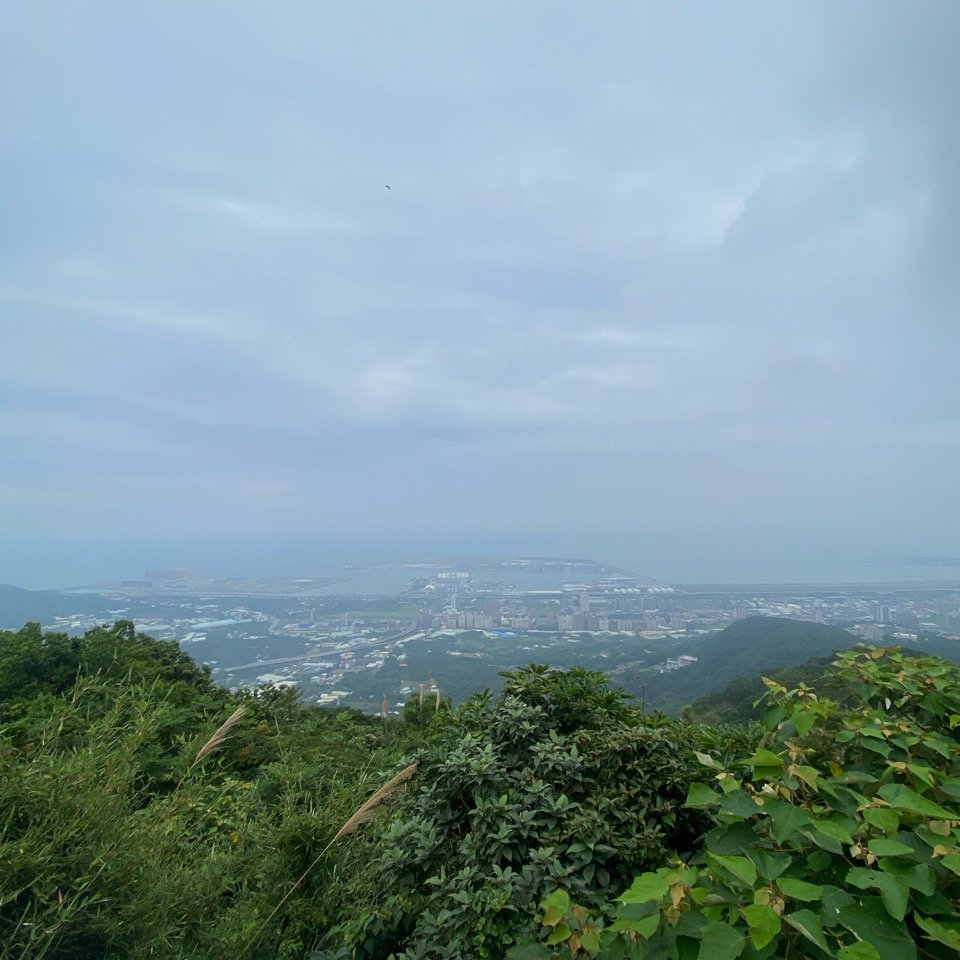 20240616觀音觀鷹尋寶任務福隆山登山步道、林梢步道、牛港稜山登山步道_2535540