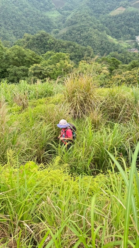 烏窟子山、獵貍尖山、黃櫸皮寮山、翡翠之眼O走_2810016