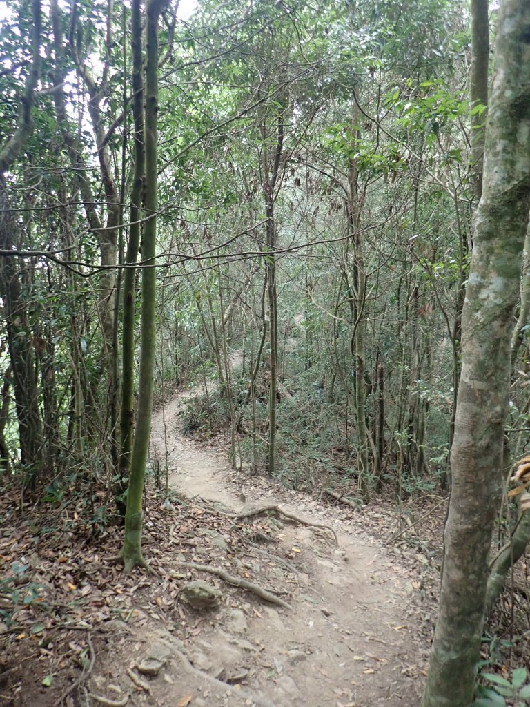 谷關七雄_白毛山~踢到登山口就累了~~_1340404