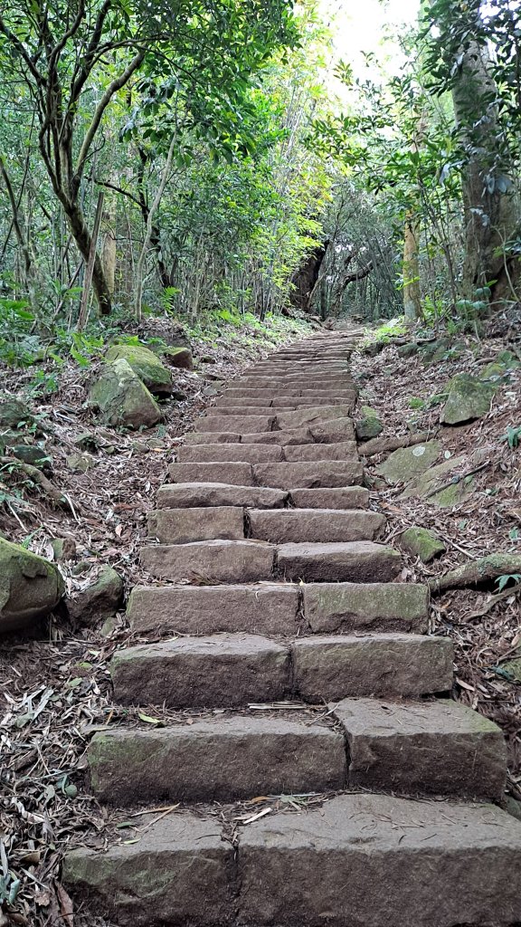 台北大縱走第一段_1249186