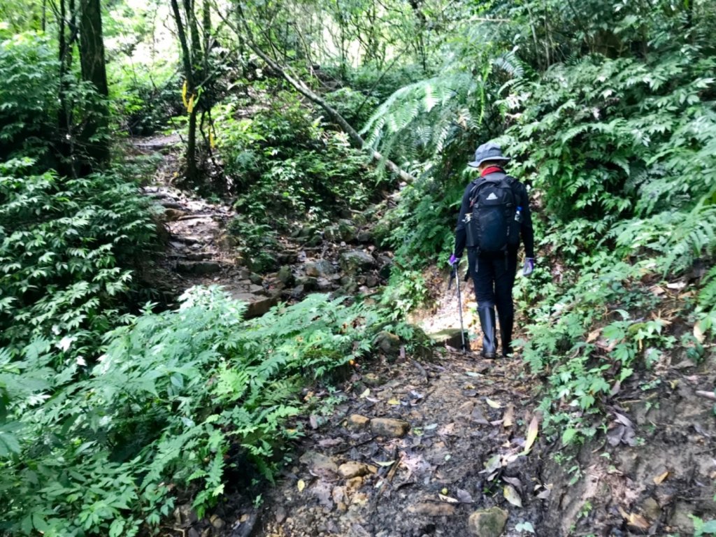 崩山坑古道環走中坑古道_632802