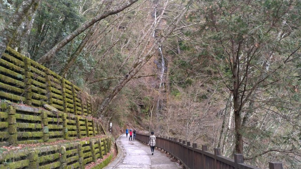 百岳~武陵四秀(池有、桃山、品田、喀拉業_1034750