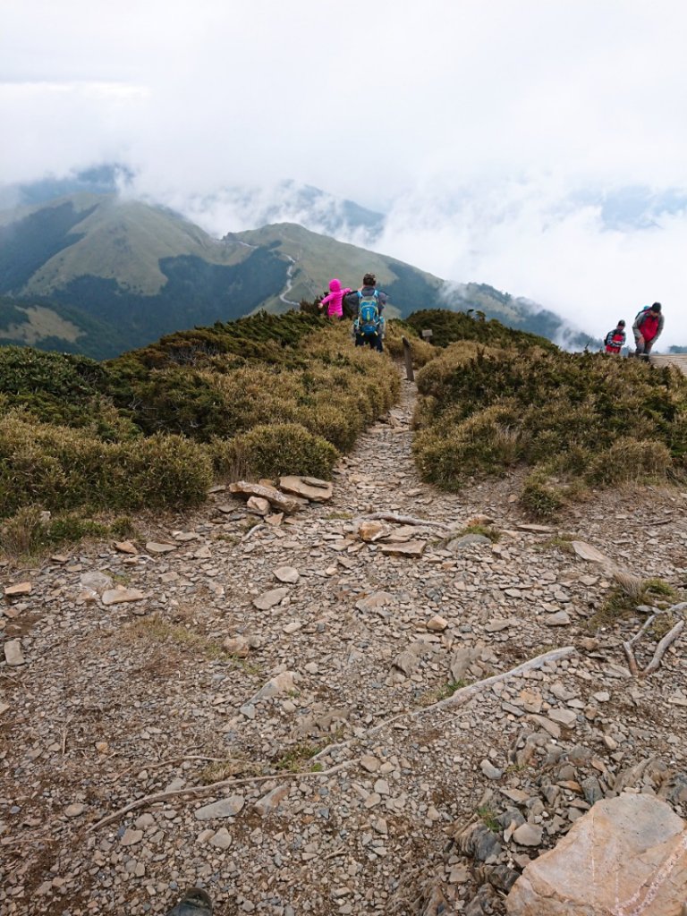 合歡山東峰封面圖