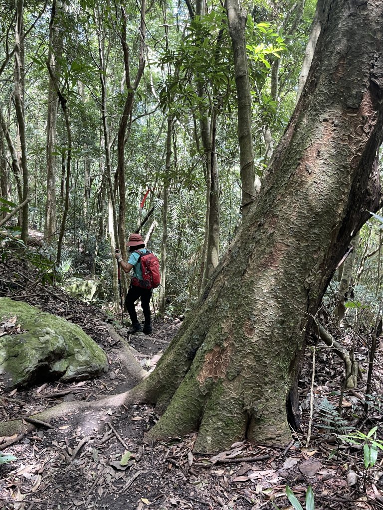 鳥嘴山(上島山) 20230813_2247123