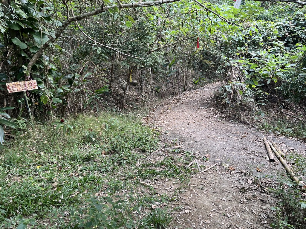 2023_1118 三腳南山_2353222