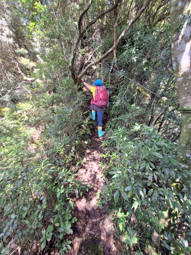 嘎色鬧上那結山_2575541