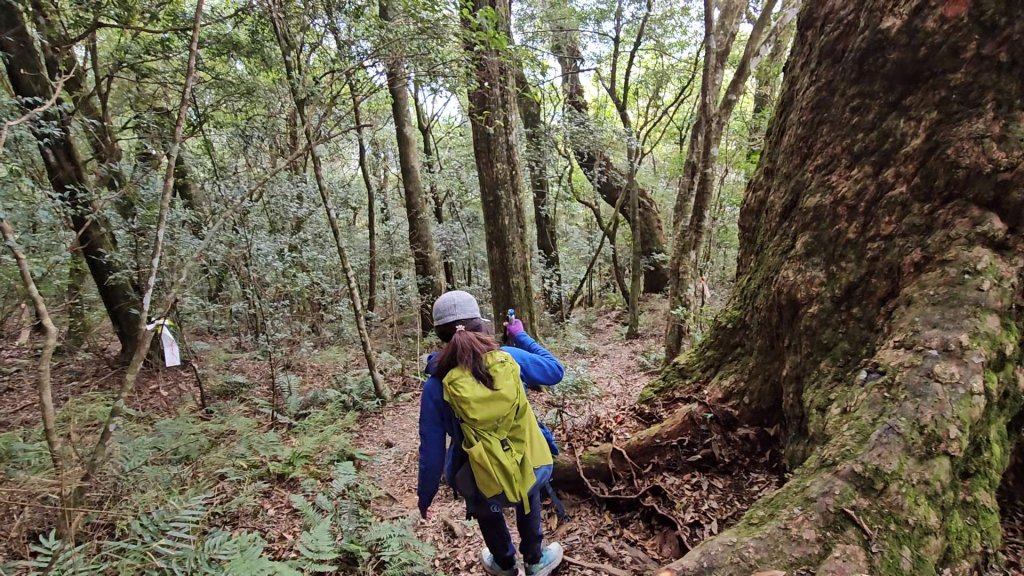 復興三尖之夫婦山_2356786