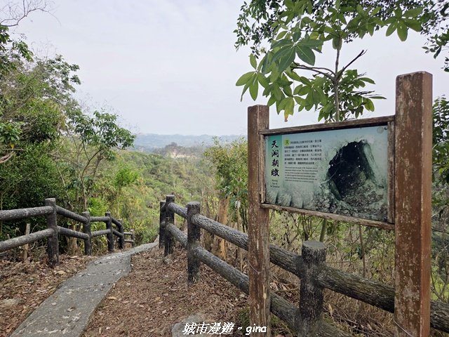 【高雄大社】小百岳大社觀音山步道_3013127