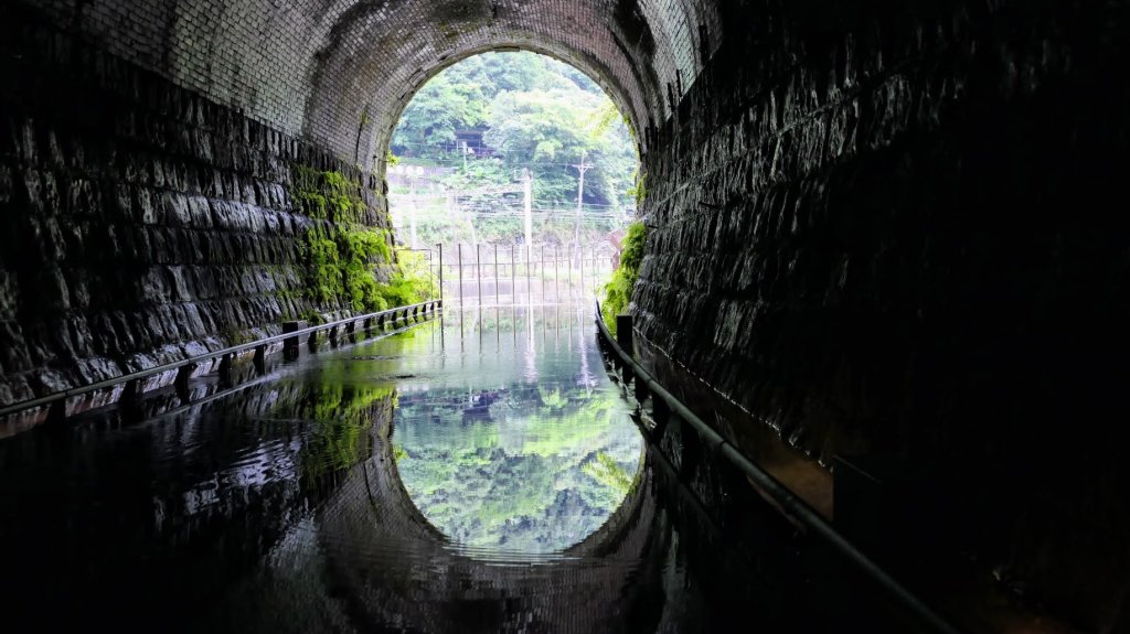 一錢鑽九孔_2531207