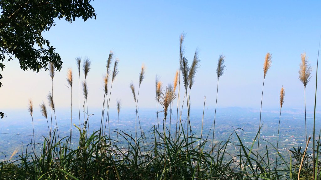 南化刣牛湖山_2987556