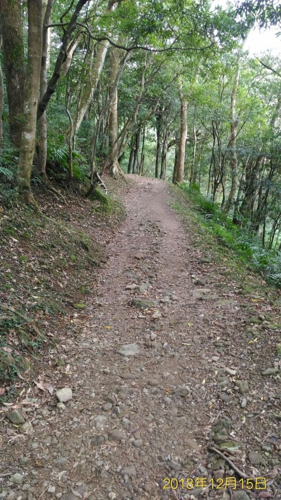 小百岳行~志繼山東眼山(#22) 拉卡山_485432