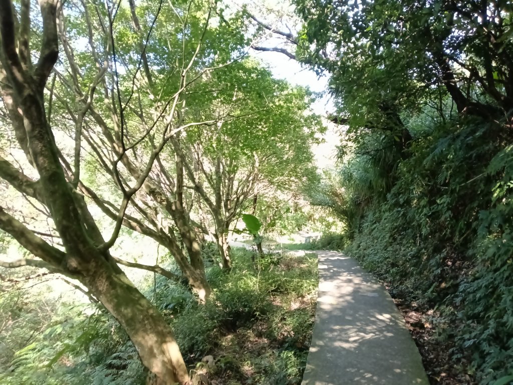基隆市金交椅山+金交椅南峰+紅淡山東北峰、北北峰、北峰+紅淡山+厲翼嶺出三坑車站_2903239