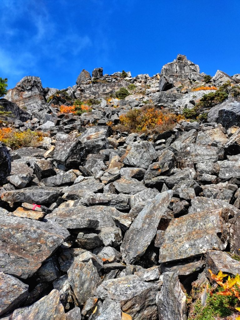 20221028溪頭山關山嶺山O繞    有夠美的啦🥰！_1890174