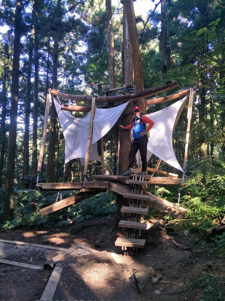 2020 10 28 東眼山自導式步道_1146598