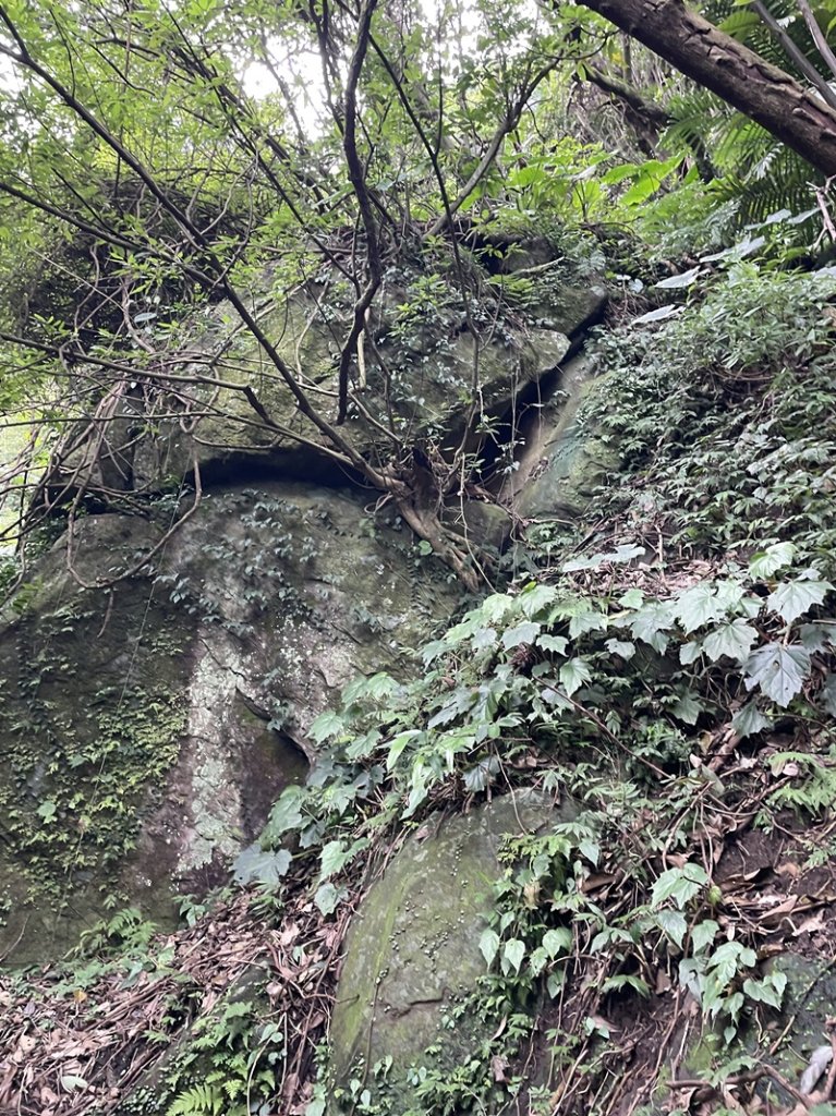 山仔頂步道_2708443