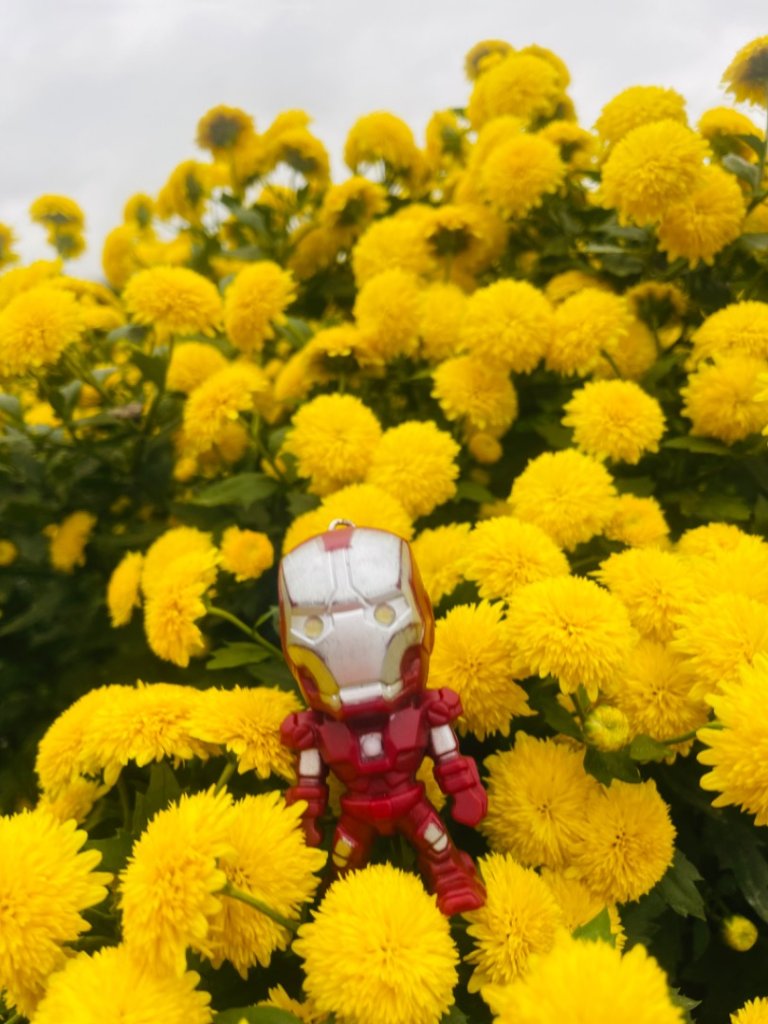 苗栗三義銅鑼三員縱走-三角山-員屯山_2651646