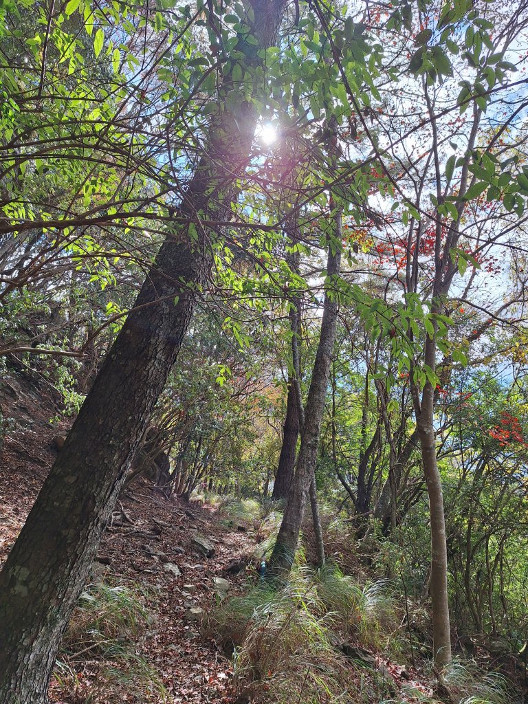 雪見駐在所+雪見山20251225_2971636