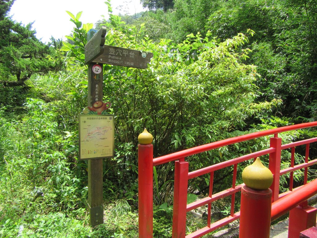 20200606-台北大縱走7_986907