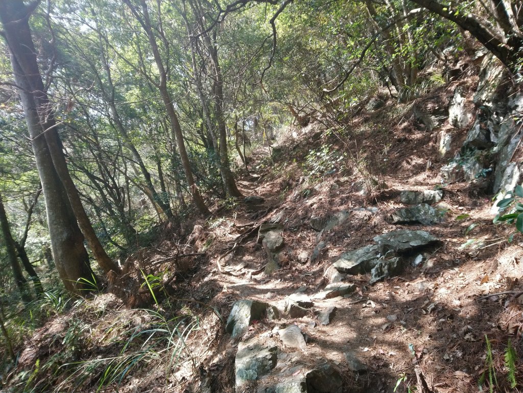 屋我尾山(麗陽線)_821193