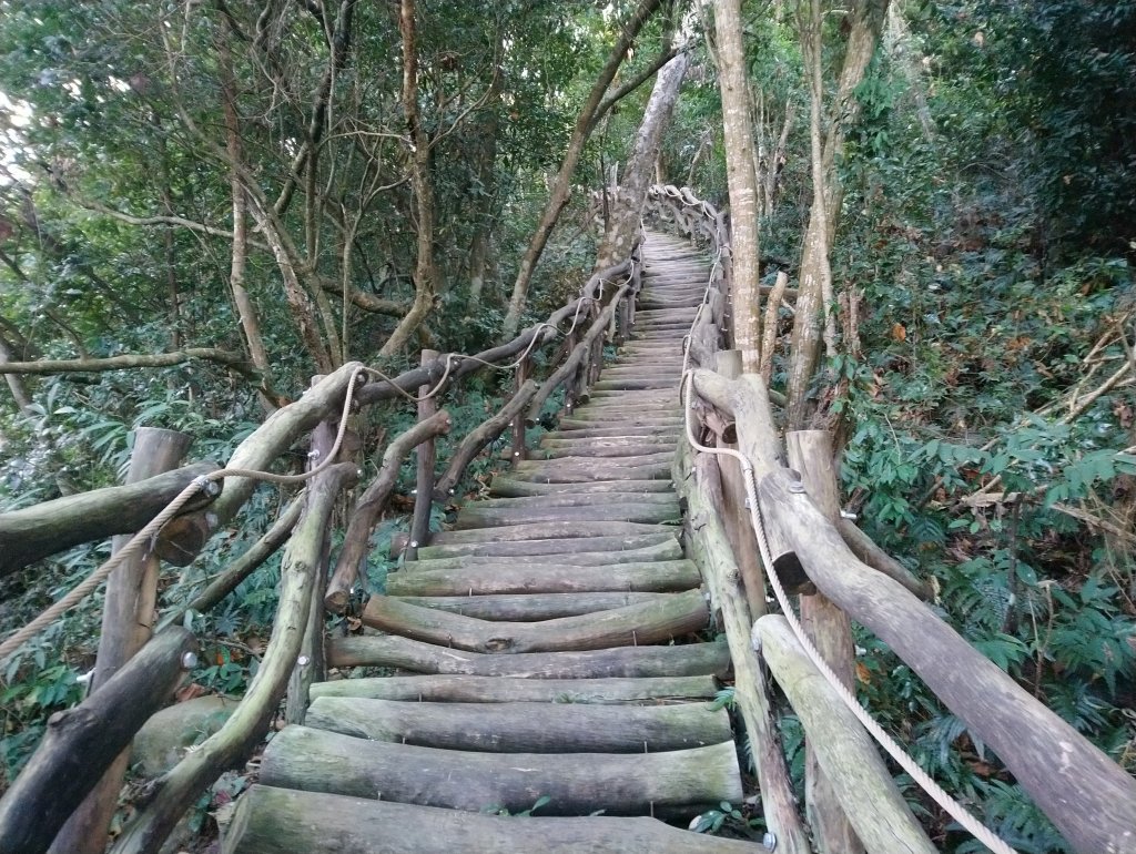 大坑步道全包一起登( 2 3維修)_747623