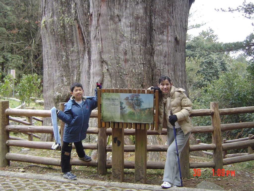 2007 Dec.大雪山森林步道封面圖