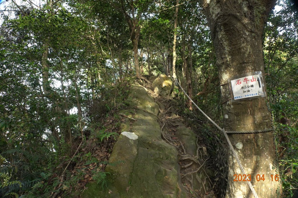 新竹 關西 石牛山_2115924
