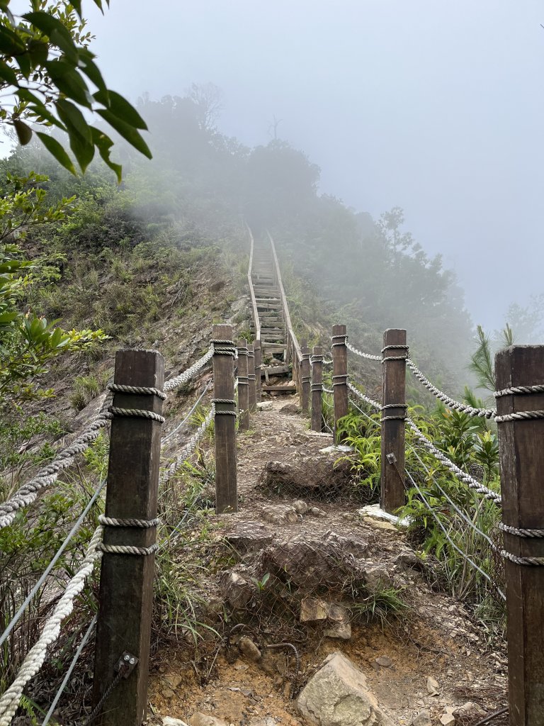 白毛山封面圖