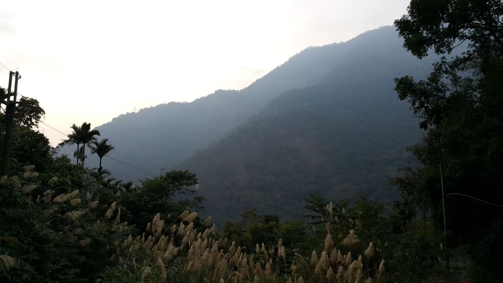 八唐縱走 2016 12 10_138583