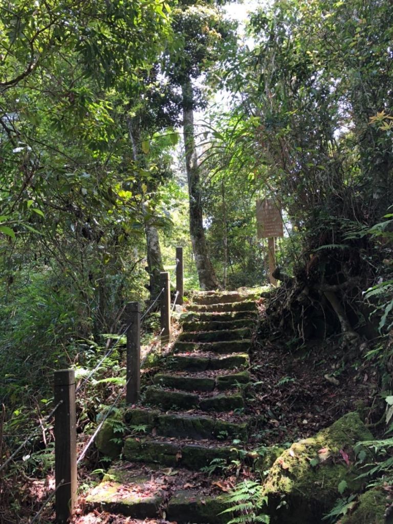 嘉南雲峰（北側步道入口）石壁山、好望角_316158