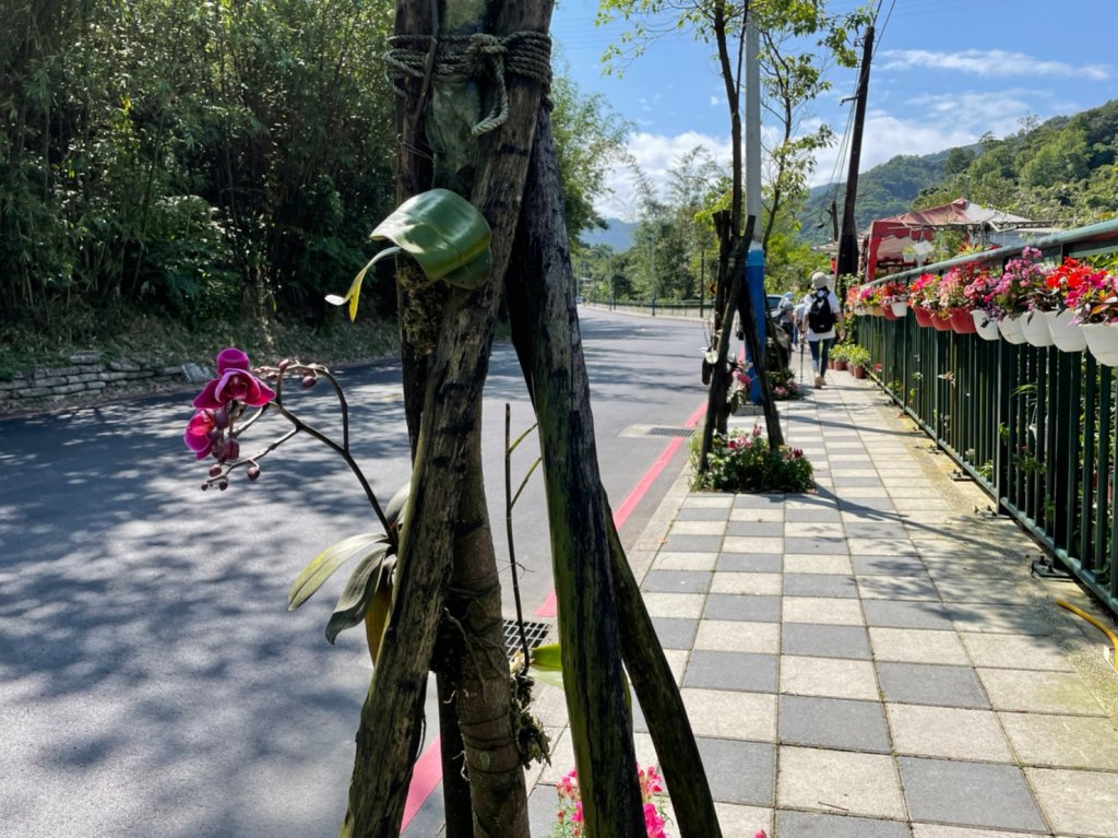 新北｜瑞芳．雙溪 淡蘭古道中路．暖東舊道（TK2-1~2-5 暖東峽谷步道、暖東舊道、五分山步道）_2004121