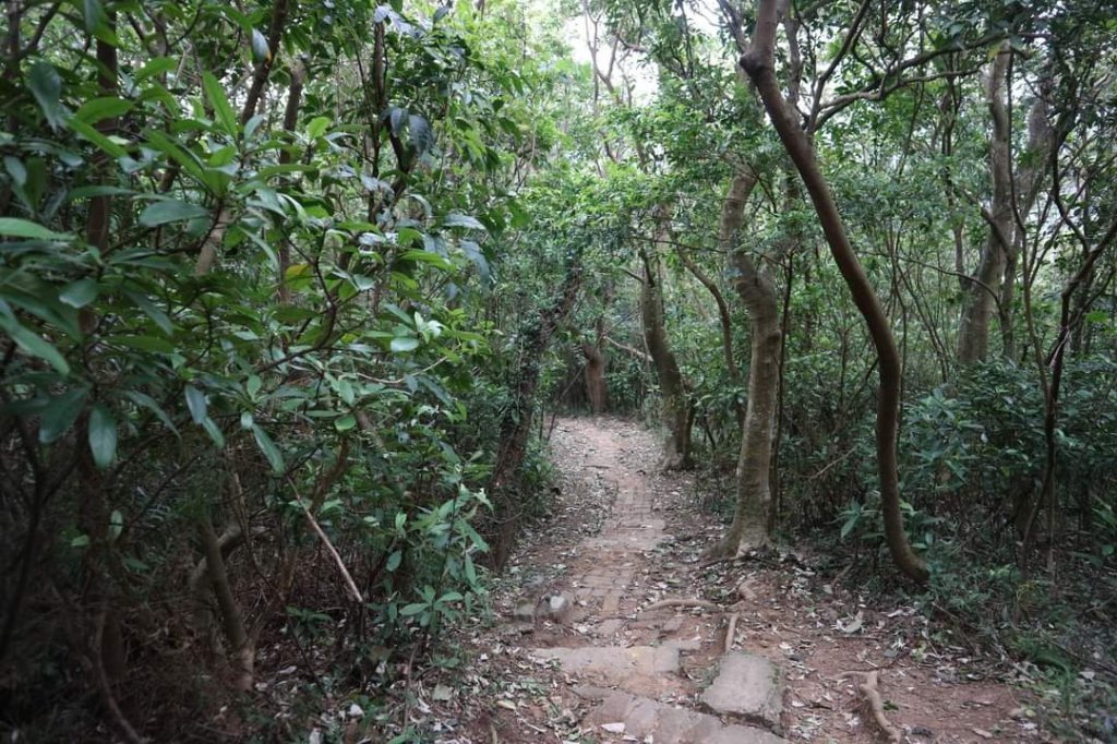 〔內湖〕文間山，劍南蝶園，劍潭古寺，婆婆橋 鄭成功廟步道_2249294